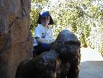 Marc on a gorilla