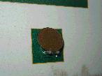 1930 Penny