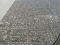 Street lined with jacaranda trees - Over LA (California, USA)