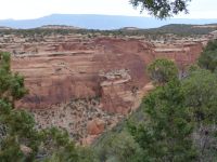 Fallen rock - Colorado National Monument (Colorado, USA)