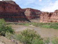 Colorado River - Colorado Gorge (Utah, USA)