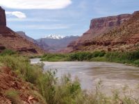 Fisher Towers over Colorado River - Colorado Gorge (Utah, USA)