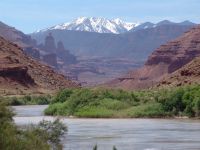 Fisher Towers over Colorado River - Colorado Gorge (Utah, USA)