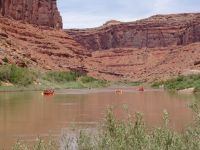 Kids rafting on the Colorado River - Colorado Gorge (Utah, USA)