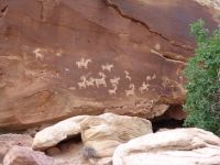 Petroglyphs - Arches National Park (Utah, USA)