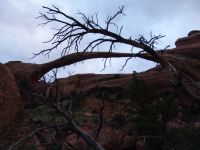Landscape Arch - Arches National Park (Utah, USA)