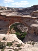 On the way down - Natural Bridges National Monument (Utah, USA)