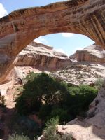 Sipapu Bridge - Natural Bridges National Monument (Utah, USA)
