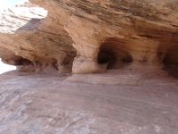 Carved rocks - Natural Bridges National Monument (Utah, USA)