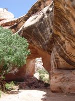 Kachina Bridge from below - Natural Bridges National Monument (Utah, USA)