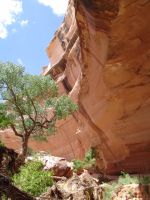 Carved cliff face - Natural Bridges National Monument (Utah, USA)