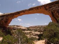 Owachomo Bridge - Natural Bridges National Monument (Utah, USA)