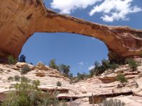 Owachomo Bridge - Natural Bridges National Monument (Utah, USA)