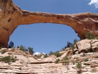 Owachomo Bridge - Natural Bridges National Monument (Utah, USA)