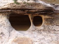 Carved rocks - Capitol Reef National Park (Utah, USA)