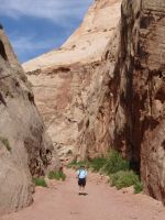 Dad in Capitol Gorge - Capitol Reef National Park (Utah, USA)