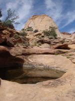 Rock pools in Capitol Gorge - Capitol Reef National Park (Utah, USA)