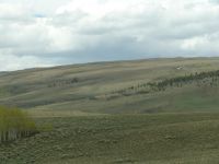 Sub-alpine landscape - Route 72 North (Utah, USA)