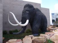 Woolly Mammoth model - Utah Field House of Natural History State Park Museum (Utah, USA)
