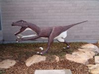 Velociraptor (?) model - Utah Field House of Natural History State Park Museum (Utah, USA)