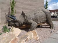 Triceratops model - Utah Field House of Natural History State Park Museum (Utah, USA)