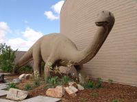 Diplodocus model - Utah Field House of Natural History State Park Museum (Utah, USA)