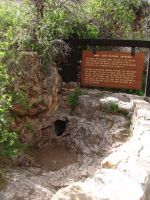 Wind Cave natural entrance - Wind Cave National Park (South Dakota, USA)