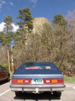 Devil's Tower and a Wyoming number plate - Devil's Tower (Wyoming, USA)