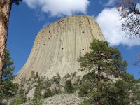 Devil's Tower - Devil's Tower (Wyoming, USA)
