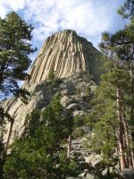 Devil's Tower - Devil's Tower (Wyoming, USA)