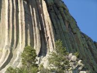 Devil's Tower - Devil's Tower (Wyoming, USA)