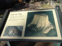 Devil's Tower info board - Devil's Tower (Wyoming, USA)