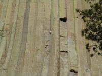 Devil's Tower - Devil's Tower (Wyoming, USA)
