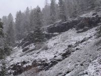 Snow near Sylvan Pass - Yellowstone National Park (Wyoming, USA)