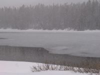 Sylvan Lake - Yellowstone National Park (Wyoming, USA)
