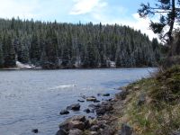 Yellowstone River - Yellowstone National Park (Wyoming, USA)
