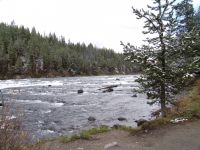 Yellowstone River - Yellowstone National Park (Wyoming, USA)