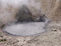 Mud volcano - Yellowstone National Park (Wyoming, USA)