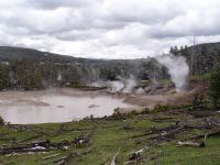 Mud Geyser - Yellowstone National Park (Wyoming, USA)