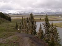 Yellowstone River plains - Yellowstone National Park (Wyoming, USA)