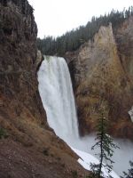 Lower Falls of the Yellowstone River - Yellowstone National Park (Wyoming, USA)