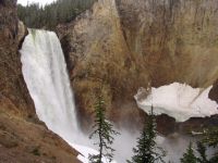 Lower Falls of the Yellowstone River - Yellowstone National Park (Wyoming, USA)