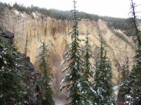Grand Canyon of the Yellowstone - Yellowstone National Park (Wyoming, USA)