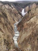 Grand Canyon of the Yellowstone, looking towards Lower Falls - Yellowstone National Park (Wyoming, USA)