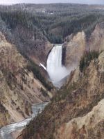 Grand Canyon of the Yellowstone, looking towards Lower Falls - Yellowstone National Park (Wyoming, USA)