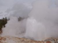 Norris Geyser Basin - Yellowstone National Park (Wyoming, USA)