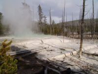 Norris Geyser Basin - Yellowstone National Park (Wyoming, USA)