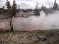 Norris Geyser Basin - Yellowstone National Park (Wyoming, USA)