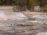 Norris Geyser Basin - Yellowstone National Park (Wyoming, USA)