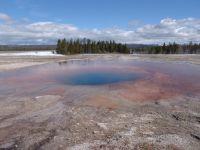 Midway Geyser Basin - Yellowstone National Park (Wyoming, USA)